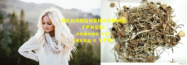прущая мука Абдулино