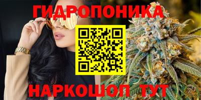гашиш Кимры