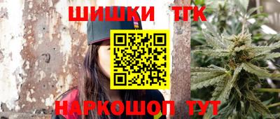 скорость Кингисепп