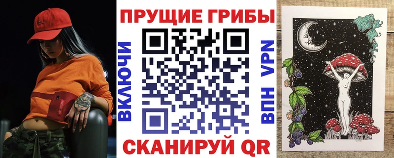 Галлюциногенные грибы мухоморы  ОМГ ОМГ ONION  Севастополь  где можно купить  