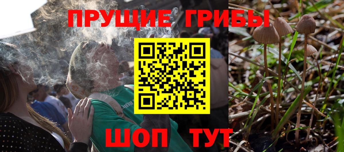 Псилоцибиновые грибы Magic Shrooms Севастополь