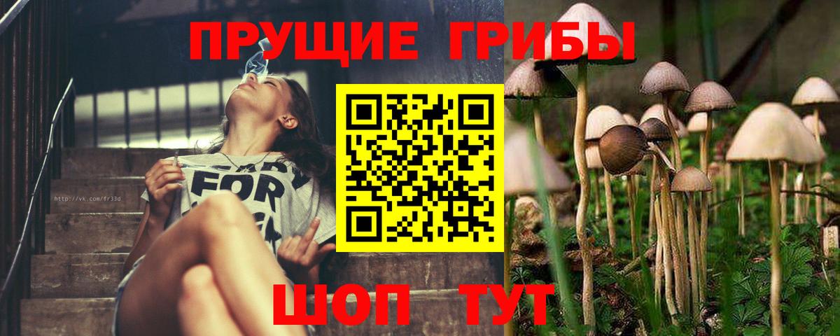 Псилоцибиновые грибы Psilocybine cubensis  Вход с VPN  Севастополь 